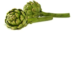 Mwv Artichoke Long Stem