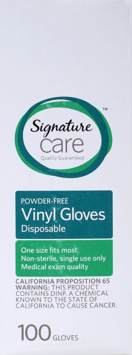 slide 4 of 5, Signature Select/care Vinyl Gloves One Size - 100 Ct, 100 ct