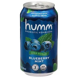 Humm Sparkling Probiotic Blueberry Mint Kombucha - 4-12 Fl. Oz.