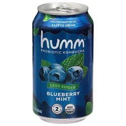 Humm Sparkling Probiotic Blueberry Mint Kombucha - 4-12 Fl. Oz.