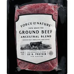 Force Of Nature Ground Beef Ancestral Grass Fed Brick - 16 Oz