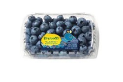 Driscolls Sweetest Batch Blueberries Limited Edition - 11 Oz