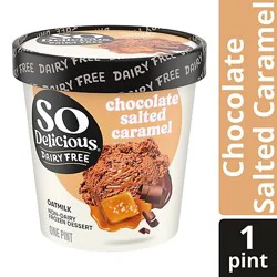 So Delicious Dairy Free Chocolate Salted Caramel Oat Milk Frozen Dessert - 1 Pint