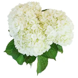 Overjoyed Boutique Hydrangea 3 Stem - Each