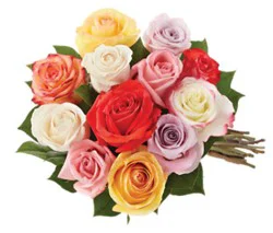 Rose Vibrant Bunch - Each