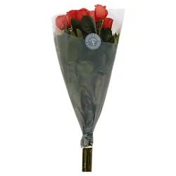 Debi Lilly Design Assorted Colors Rose 12 Stem - Each