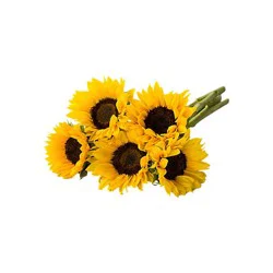 Signature Select Sunflower - Each