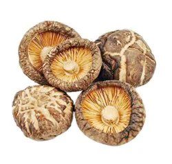 Mushrooms Shitake - 4 Oz