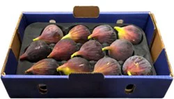 Fig Tray Fresh - Each