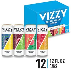 Vizzy Variety Pack 2 Hard Seltzer 5% Abv Cans - 12-12 Fl. Oz.