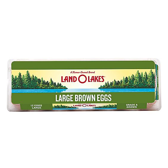 slide 1 of 1, Land O Lakes Large Brown Eggs - 12 Count, 12 ct