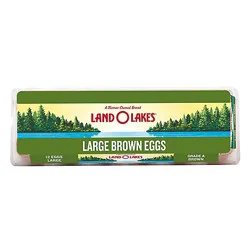 Land O Lakes Large Brown Eggs - 12 Count