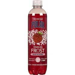 Polar Frost Sparkling Black Raspberry - 17 Fz