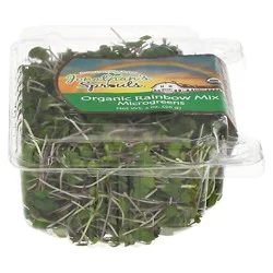 Jonathans Microgreens Rainbow Mix Organic - 2 Oz