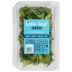 Little Leaf Farms Green Leaf Lettuce - 8 Oz