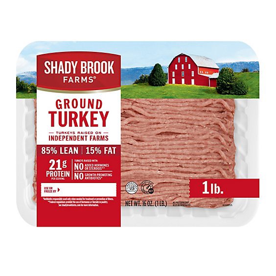 slide 1 of 1, Shady Brook Farms 85% Lean 15% Fat Ground Turkey - 1 Lb, 16 oz