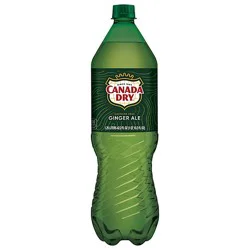 Canada Dry Soda Ginger Ale - 42.2 Fz