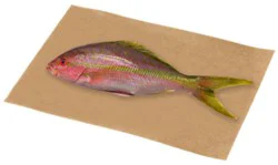 Snapper Whole Fresh - 2 Lb