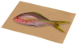 Seafood Snapper Whole Fish Service Case - 2 Lb