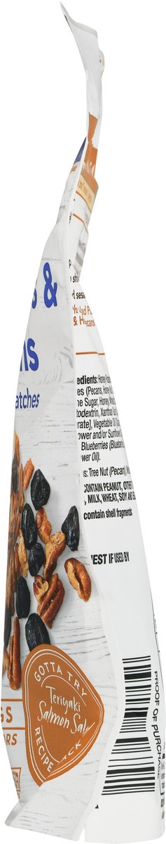 slide 9 of 9, Salad Pizazz! Dried Blueberries & Honey Pecans 3.5 oz, 3.5 oz