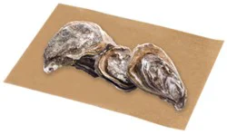 Oysters Blue Point Live Service Case - 1 Lb