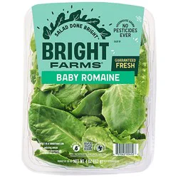 Bright Farms Mighty Romaine - 4 Oz