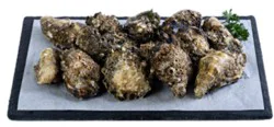Fresh Live Elkhorn Oysters In The Shell Farmed- 1 Doz.