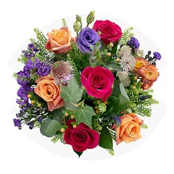 Wildflower Rose Bright Md - Ea