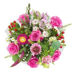 Wildflower Rose Pink Md - Ea