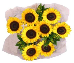 Garden Natural Sunflower Bouquet - Each