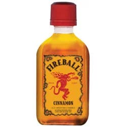 Fireball Malt Cinnamon Party Bucket With Twenty Bottles 20 Count - 50 Ml