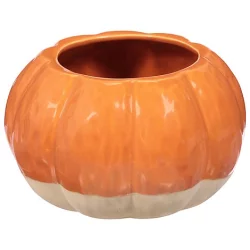 Debi Lilly Textured Pumpkin Planter - EA