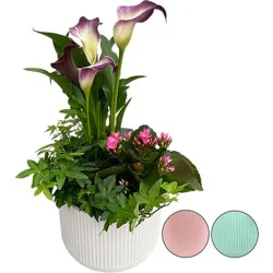 Blooming Gardens Medium - Each (Color May Vary)