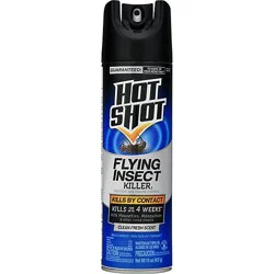 Hs Flying Insect Killer - 15 Oz