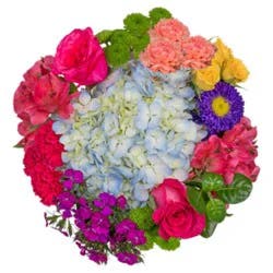 Feliz Dia De Las Madres - Each