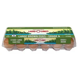 Land O Lakes Cage Free Large Brown Eggs - 12 Count
