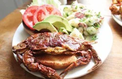 Chesapeake Bay Crab In Soft Shell Fresh - Ea