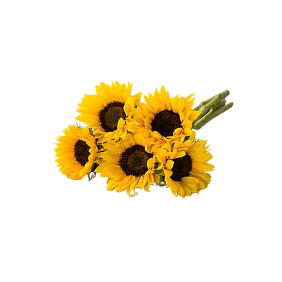 slide 1 of 1, Sunflowers 5 Stem - Each, 1 ct