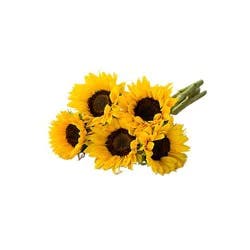 Sunflowers 5 Stem - Each