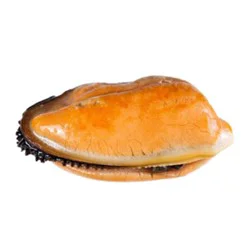 Dutch Style Mussels From Maine - 2 Lb