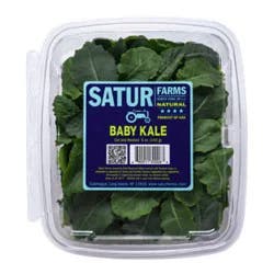 Satur Farms Baby Kale - 5 Oz