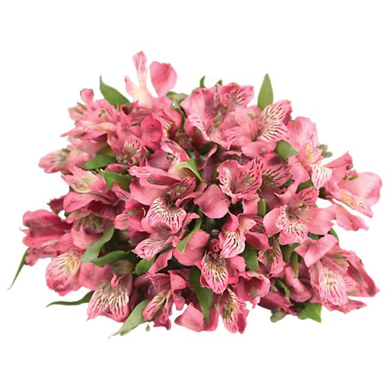 slide 1 of 1, Alstroemeria 8 Stem - Each, 1 ct