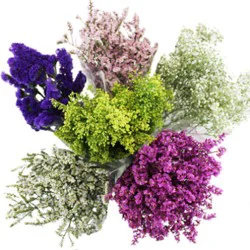 Assorted Fillers - Each