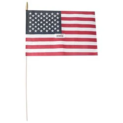 Annin Flagmakers Us Hand Flag - 12 X 18 Inch