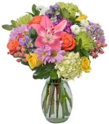 Designers Choice Mixed Arrangement 39.99 - Each