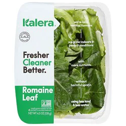 Baby Romaine Loose Leaf Lettuce - 4.5 Oz