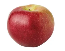 Apples Macoun - 4 Lb
