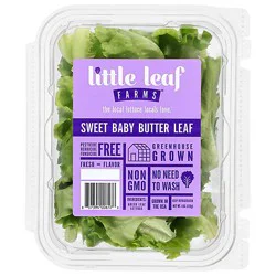 Sweet Baby Butter Lettuce - 4 Oz
