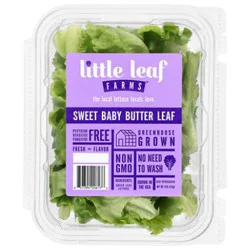 Sweet Baby Butter Lettuce - 4 Oz