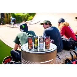 The Beast Unleashed Variety In Cans - 12-12 Oz